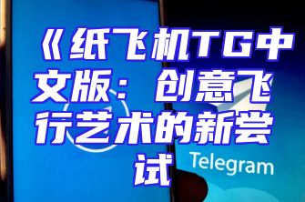 《纸飞机TG中文版：创意飞行艺术的新尝试