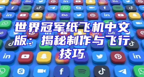 世界冠军纸飞机中文版：揭秘制作与飞行技巧