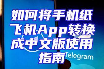 如何将手机纸飞机App转换成中文版使用指南