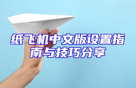 纸飞机中文版设置指南与技巧分享