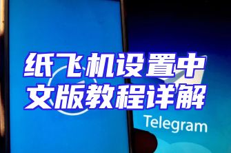 纸飞机设置中文版教程详解