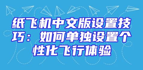 纸飞机中文版设置技巧：如何单独设置个性化飞行体验