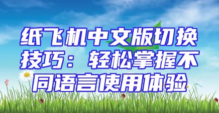 纸飞机中文版切换技巧：轻松掌握不同语言使用体验