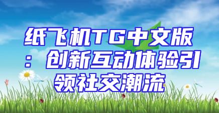 纸飞机TG中文版：创新互动体验引领社交潮流