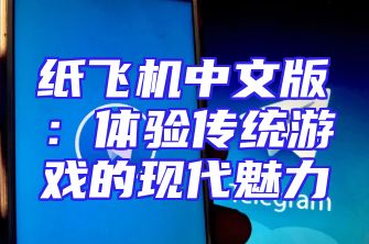 纸飞机中文版：体验传统游戏的现代魅力