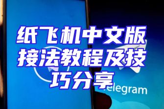 纸飞机中文版接法教程及技巧分享