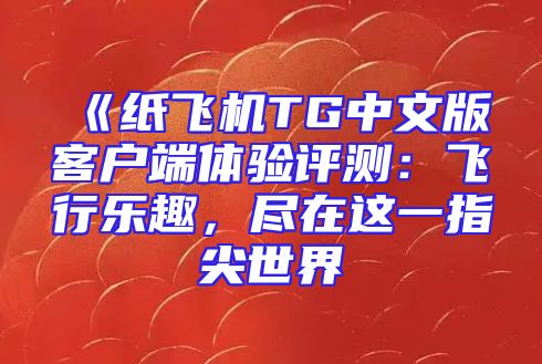 《纸飞机TG中文版客户端体验评测：飞行乐趣，尽在这一指尖世界