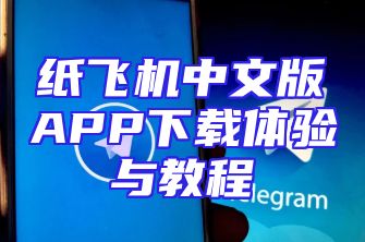 纸飞机中文版APP下载体验与教程